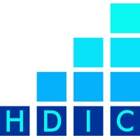 Hunter Digital Insights Consulting