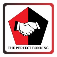 Pentagon Tech Fusion Services Pvt. Ltd. logo - Similar company to Promark Techsolutions Private Limited