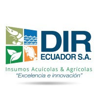 DIR logo - Similar company to B3B