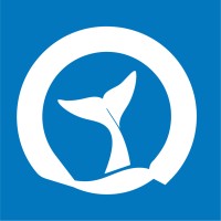 Orcadive Technology logo - Similar company to Digital Techno Wiz