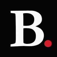 Bergner Consulting Group logo - Similar company to Pulse Ai Solutions