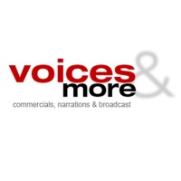 Voices and More logo - Similar company to Position Five Private Limited