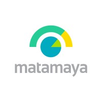 matamaya logo - Similar company to Matamaya