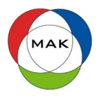 MAK Consulting AG logo - Similar company to Wondercode