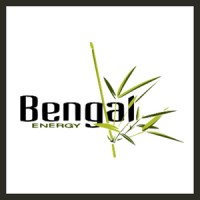 Bengal Energy logo - Similar company to Corant Global