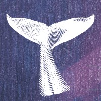 Editora Moby Dick logo - Similar company to Editora Ieprev