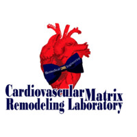 Cardiovascular Matrix Remodeling Laboratory logo - Similar company to Fiu Biomedical Engineering