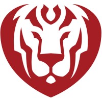 Lionside logo - Similar company to Jsunit