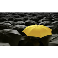 Accelerated Sales Inc.