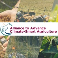 Alliance to Advance Climate-Smart Agriculture logo - Similar company to Shama E Zeest