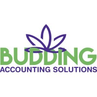 Budding Accounting Solutions logo - Similar company to Thrv Capital