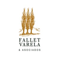 Fallet Varela Abogados logo - Similar company to 360 Group