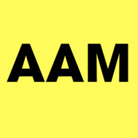 AAM institute logo - Similar company to Tsh Aviation Llc