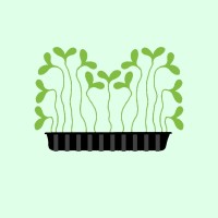 YakimGreen logo - Similar company to Dicom Systems, Inc.