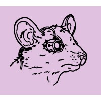 Packrat logo - Similar company to Shep