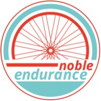 Noble Endurance logo - Similar company to Velocity Advisory Group