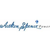 Ace Power Embilipitiya (Pvt) Ltd logo - Similar company to Ceylon Eco Spices