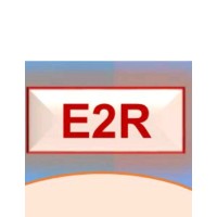 E2R CONSULTING logo - Similar company to Multibody System Dynamics