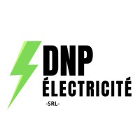 DNP Electricité Srl logo - Similar company to Almaho