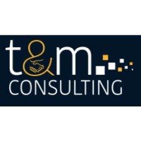 T and M Consulting logo - Similar company to It-Med