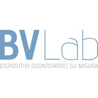 BV LAB S.R.L. UNIPERSONALE logo - Similar company to Bv Lab