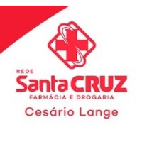 Rede Santa Cruz Cesário Lange logo - Similar company to Selecta Blocos
