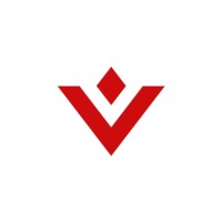 VeServe Company Limited logo - Similar company to Itapps
