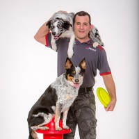 Sit Means Sit Dog Training of Connecticut & Southern Westchester