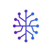 Datamind AI Solutions logo - Similar company to 38 Management