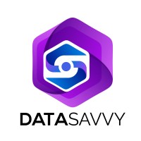 Data Savvy logo - Similar company to Natural Fluency