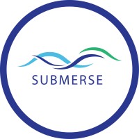 SUBMERSE project logo - Similar company to Nimrud