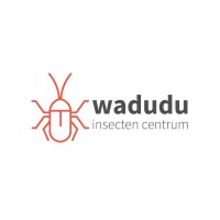 Wadudu logo - Similar company to Nutri Worm