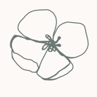 Piper and Root Creative Co.