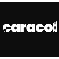 Caracol Bienes Raíces logo - Similar company to Realtyys - Bienes Raíces & Proyectos Inmobiliarios Bpv Group