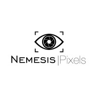 Nemesis Pixels logo - Similar company to Theaccelerators.Ai