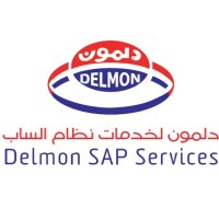 Delmon SAP Services KSA logo - Similar company to NinetronTech