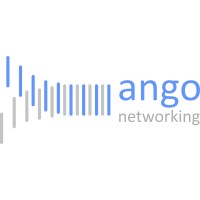 Ango Networking logo - Similar company to Secorsa