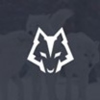 Wolfhill Consulting logo - Similar company to Flyion Pte Ltd