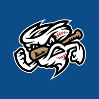 Omaha Storm Chasers logo - Similar company to Ckf, Co.