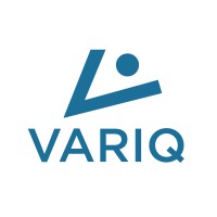 VariQ logo - Similar company to Avint