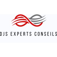 DJS Experts Conseils logo - Similar company to Kelvin Emtech