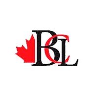 Barrineti Construction logo - Similar company to Phoenix Cladding Systems Ltd.