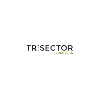 TriSector Strategies logo - Similar company to Trisector