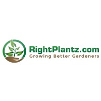 Rightplantz.Com