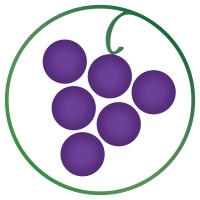 Wtso.Com (Ashburn Corporation)