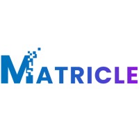 Matricle Solutions Limited logo - Similar company to Imady Nz Limited
