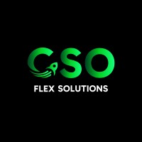 CSO Flex Solutions logo - Similar company to Data Analytics Philippines
