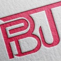 PBJ Marketing logo - Similar company to Global Climate Coalition