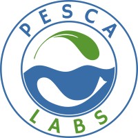 PESCALABS logo - Similar company to Qintispace