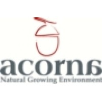 Acorna Solutions logo - Similar company to Cubes Systems